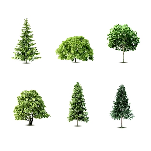 illustration de la collection de vecteurs de conception d'un ensemble de vecteurs d'arbres