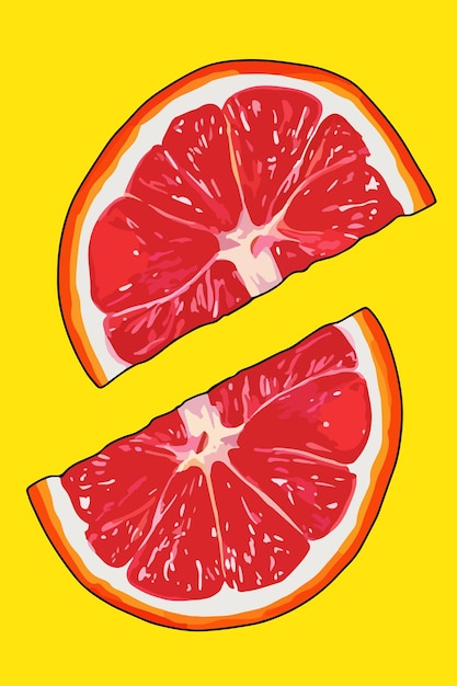 Illustration colorée d'agrumes tranchés