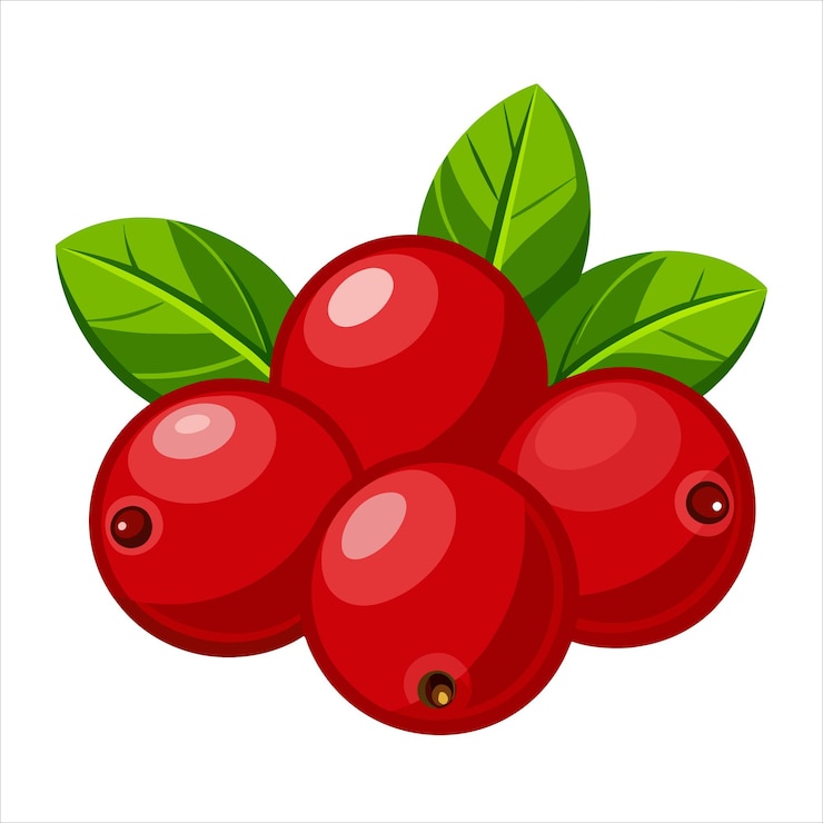 Vecteur une illustration colorée de canneberges