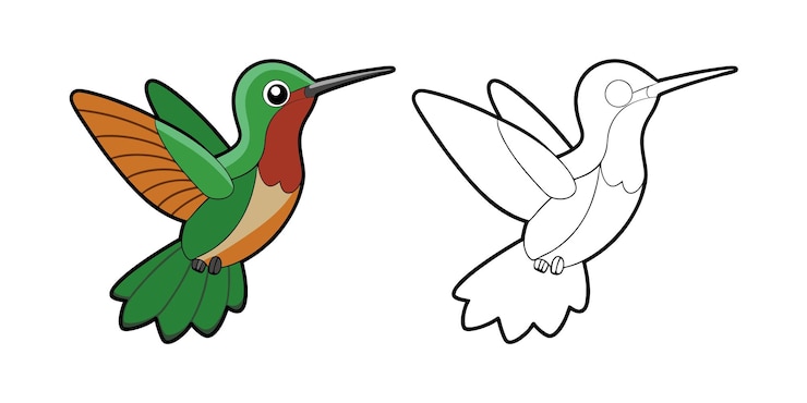 Vecteur une illustration colorée du colibri