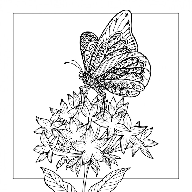 Illustration De Coloriage Papillon
