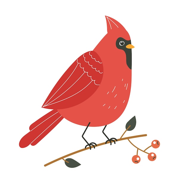 Vecteur illustration de concept d'élément de conception de personnage rouge oiseau d'hiver