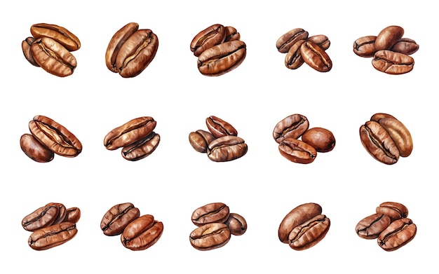 Vecteur illustration de la conception du clipart de grain de café