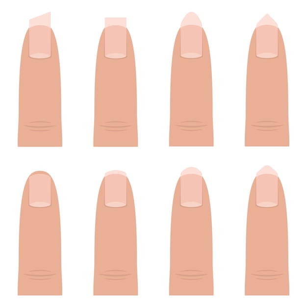 Illustration de conception de formes d'ongles féminins isolé sur fond blanc