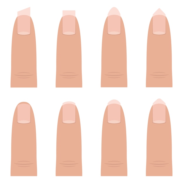 Vecteur illustration de conception de formes d'ongles féminins isolé sur fond blanc