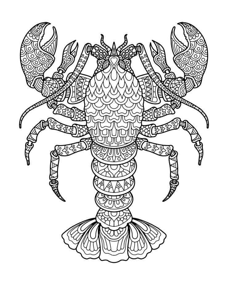 Illustration et conception d'impression