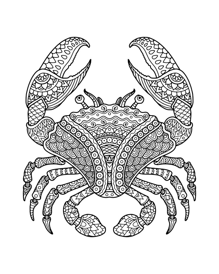 Illustration et conception d'impression