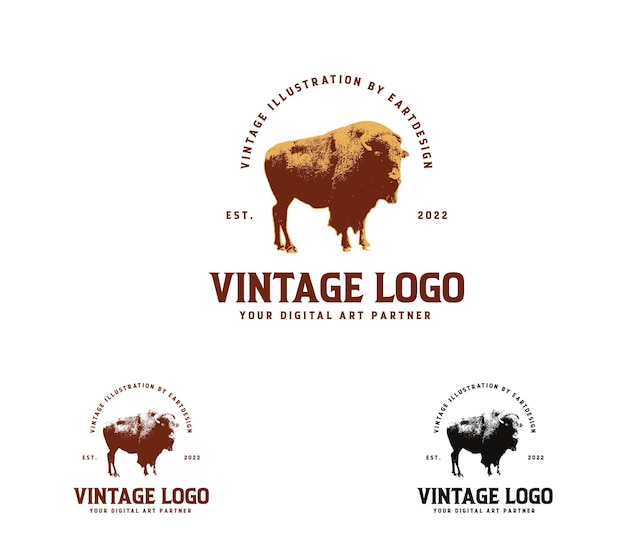 Vecteur illustration de conception de logo de bison vintage