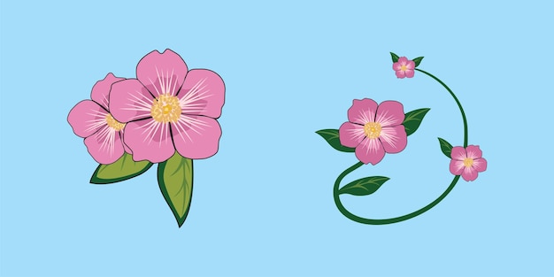 Illustration De Conception De Rose De L'alberta