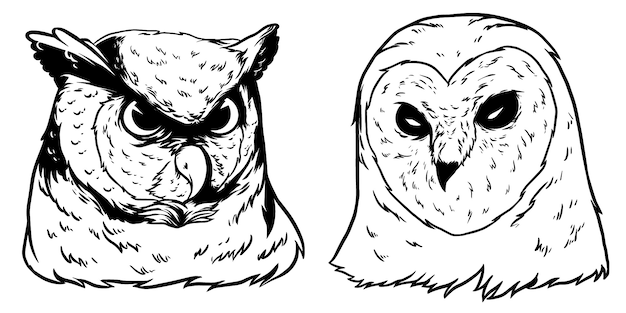 Illustration De Conception De Tête De Hibou