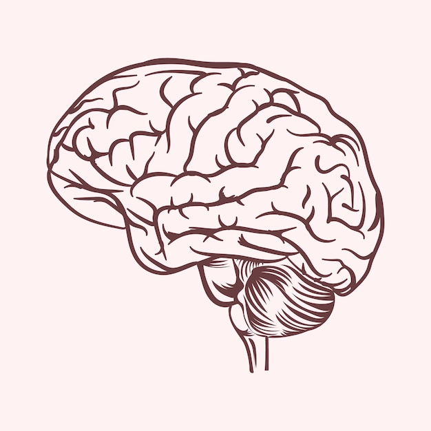 Illustration de conception de vecteur de cerveau humain noir et blanc