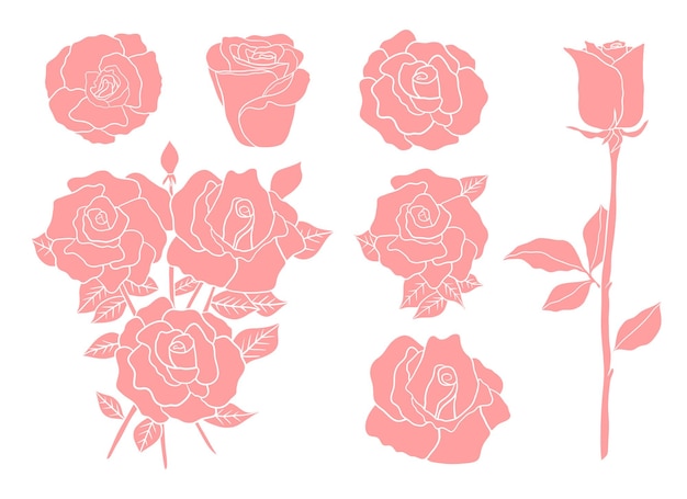 Illustration De Conception De Vecteur De Roses Isolée Sur Fond Blanc