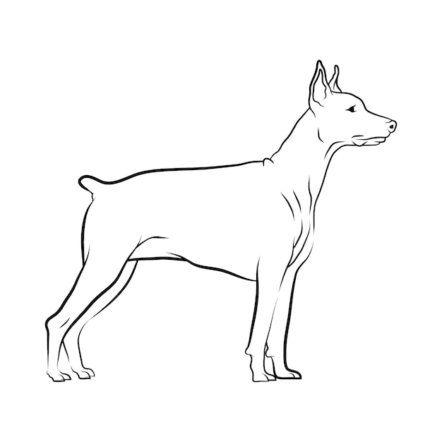 Vecteur illustration de contour de chien dessiné à la main