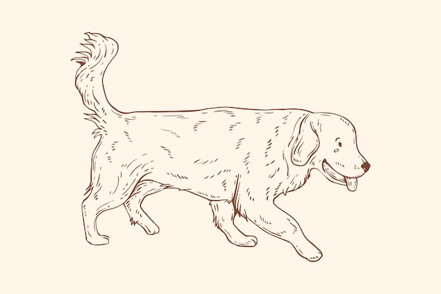 Illustration de contour de chien dessiné à la main