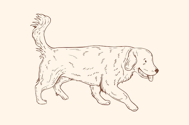 Vecteur illustration de contour de chien dessiné à la main