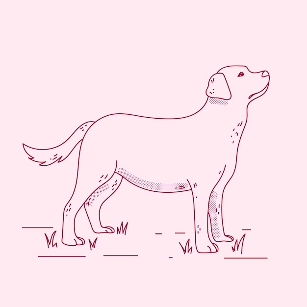 Illustration De Contour De Chien Dessiné à La Main