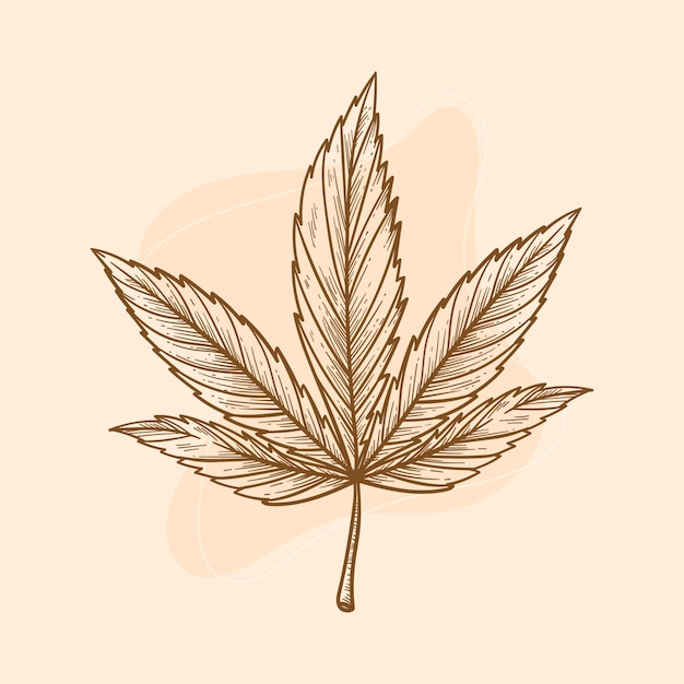 Illustration De Contour De Feuille De Marijuana Dessinée à La Main