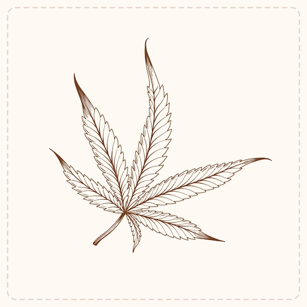 Vecteur illustration de contour de feuille de marijuana dessinée à la main