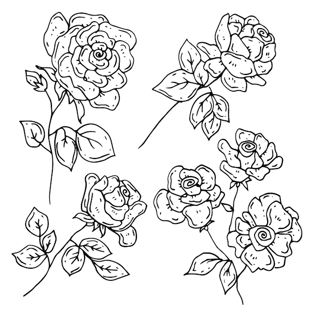 Illustration de contour de fleur simple dessiné à la main