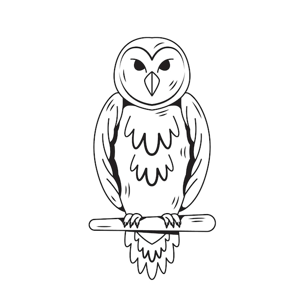 Vecteur illustration de contour de hibou dessiné à la main