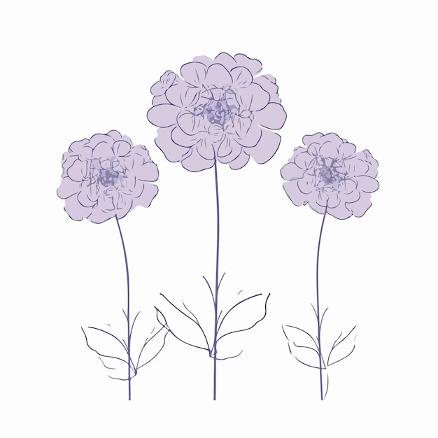 Illustration de contour d'hortensia délicat