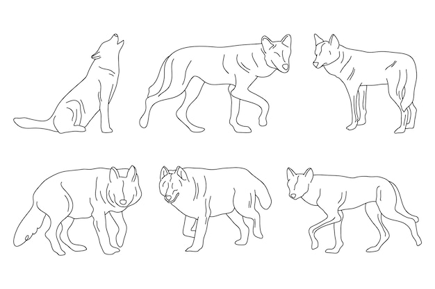 Vecteur illustration de contour de loup dessiné à la main