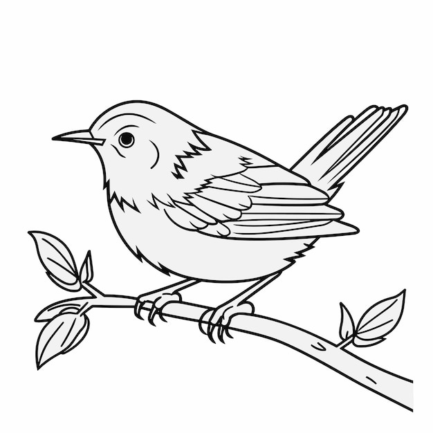 Vecteur illustration de contour d'oiseau dessiné à la main