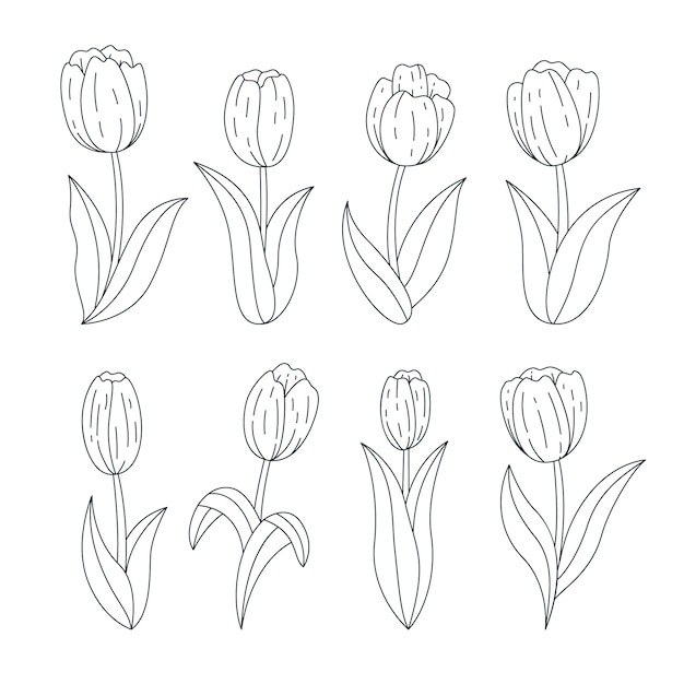 Illustration de contour de tulipe dessiné à la main