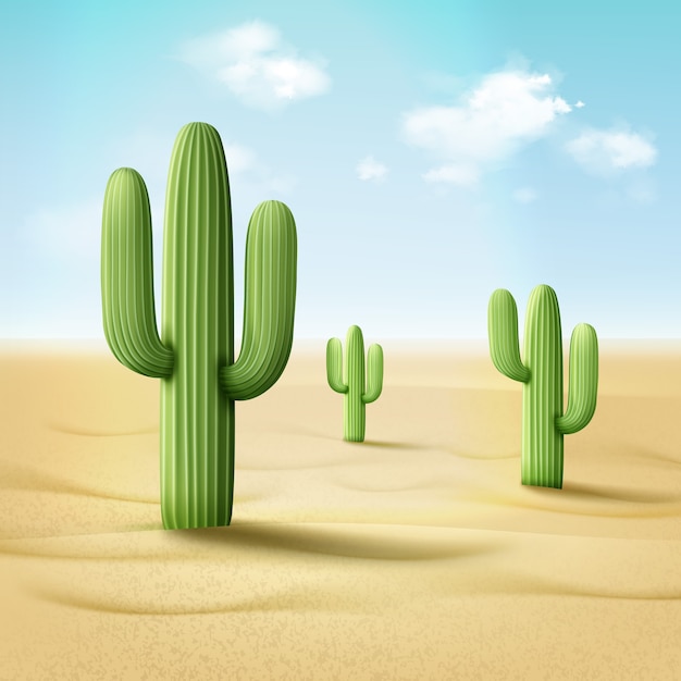 Vecteur illustration de cordon cactus ou pachycereus pringlei dans un paysage désertique