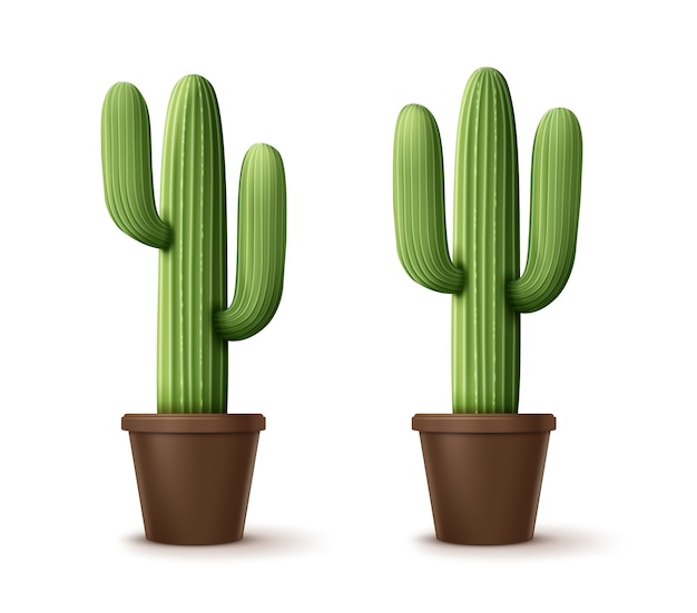 Vecteur illustration de cordon cactus ou pachycereus pringlei, plantes d'intérieur en pot isolé sur fond blanc