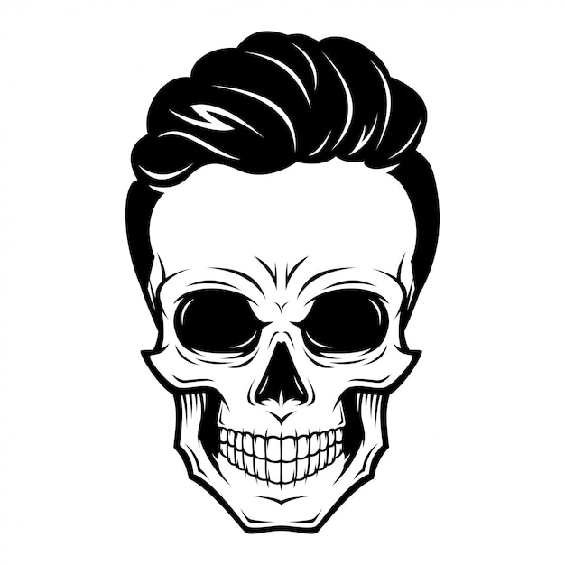 Illustration de crâne masculin