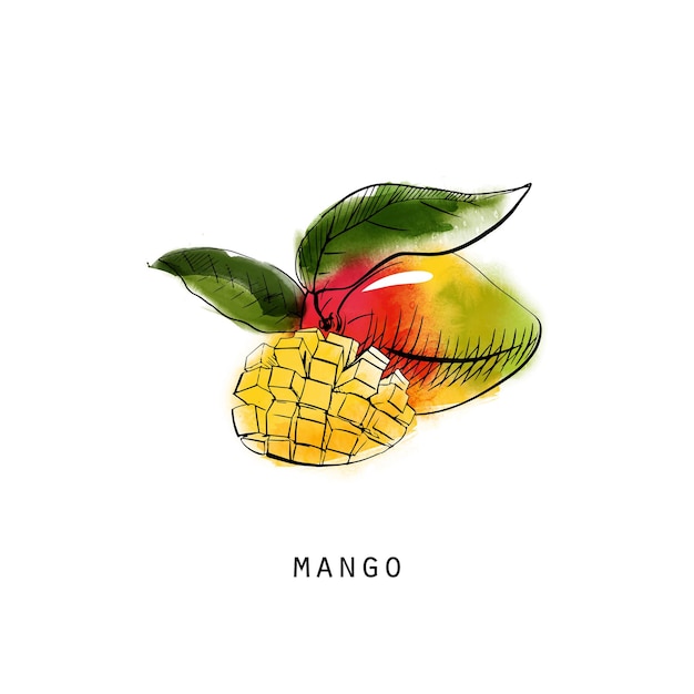 Illustration De Croquis Aquarelle De Mangue