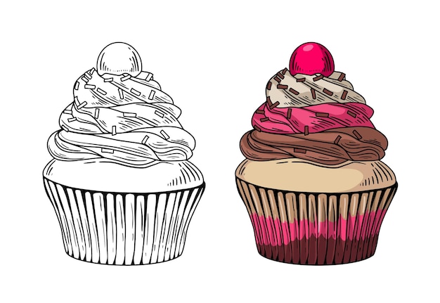 Illustration De Cupcake Dessiné à La Main En Noir Et Couleur