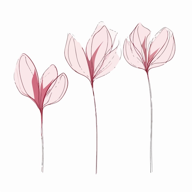 Illustration De Cyclamen Unique Avec Un Style Distinctif