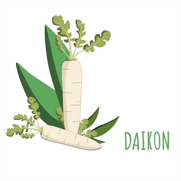 Illustration avec daikon