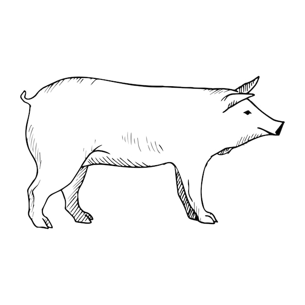 Illustration dans le style d'encre d'art de porc