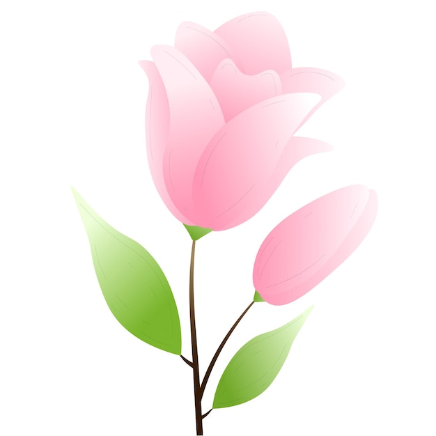Illustration Design Plat De Fleur De Pivoine Rose