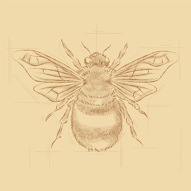 Vecteur illustration de dessin d'abeille dessiné à la main