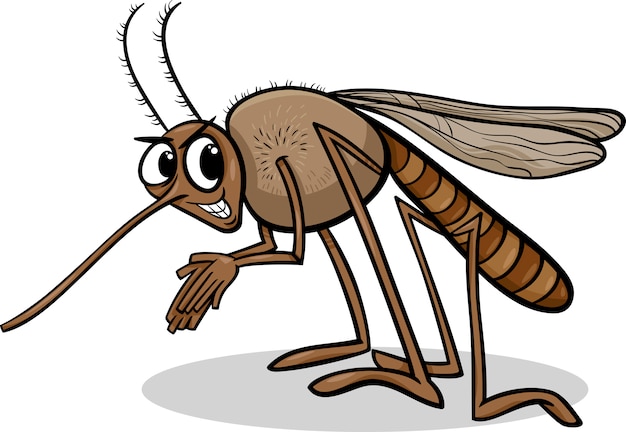 Illustration De Dessin Animé Insecte Moustique