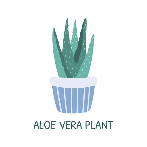 Illustration De Dessin Animé Isolé De Vecteur De Plante D'aloe Vera Succulente En Pot Maison