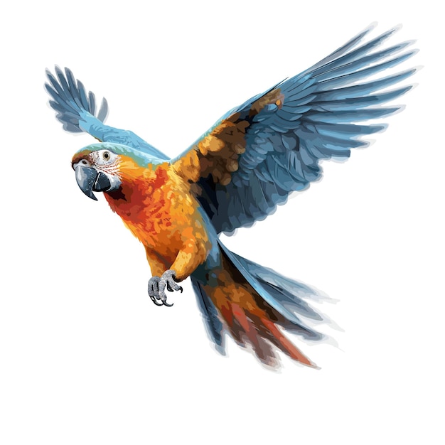 Illustration De Dessin Animé D'un Perroquet Coloré Avec De Grands Yeux Oiseaux Mignons