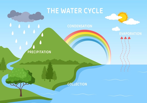 Illustration De Dessin Animé Plat Du Cycle De L'eau Dans L'environnement Naturel De La Terre