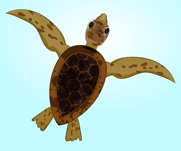 illustration dessin animé tortue de mer nageant de la vue de dessus