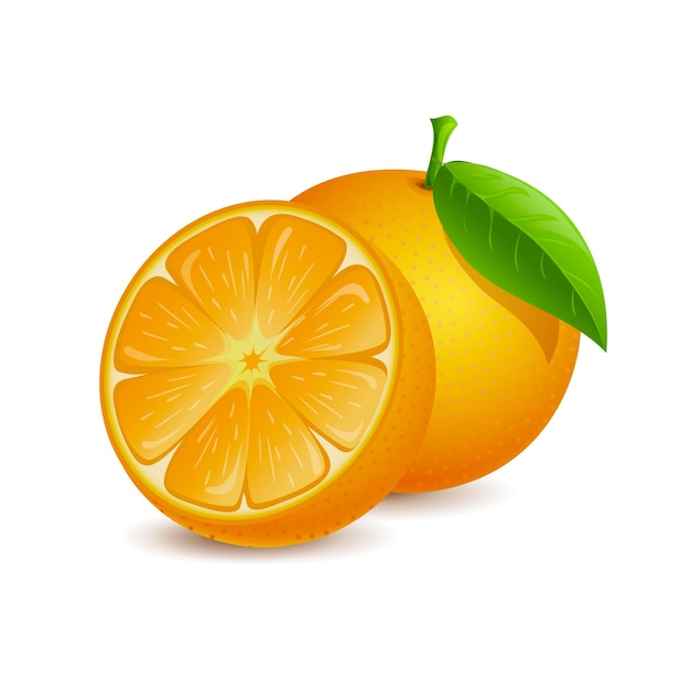 Illustration De Dessin Animé De Vecteur De Fruits Orange Frais Entier Et Demi En Tranches