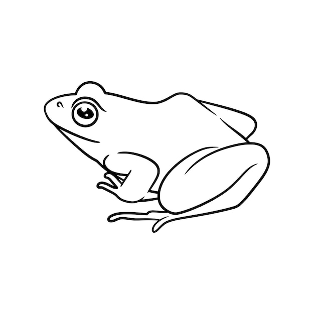 Illustration De Dessin Au Trait Grenouille