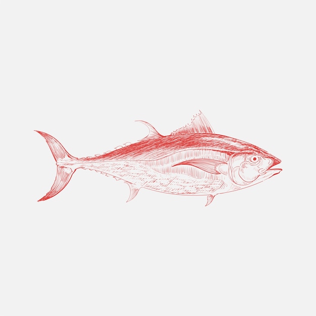 Illustration Dessin Style De Poisson De Mer