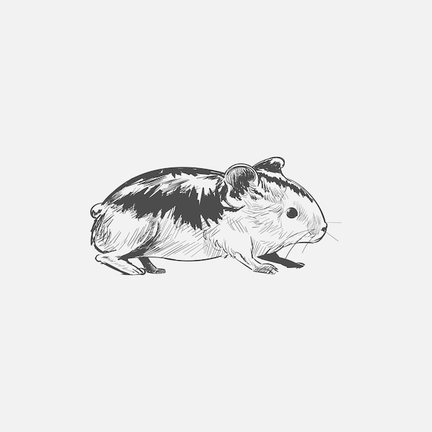 Illustration Dessin Style De Rat