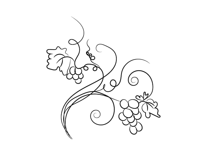 Vecteur illustration de dessin de vigne dessinée à la main