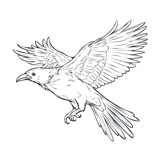 Illustration de dessin volant de corbeau dessiné à la main