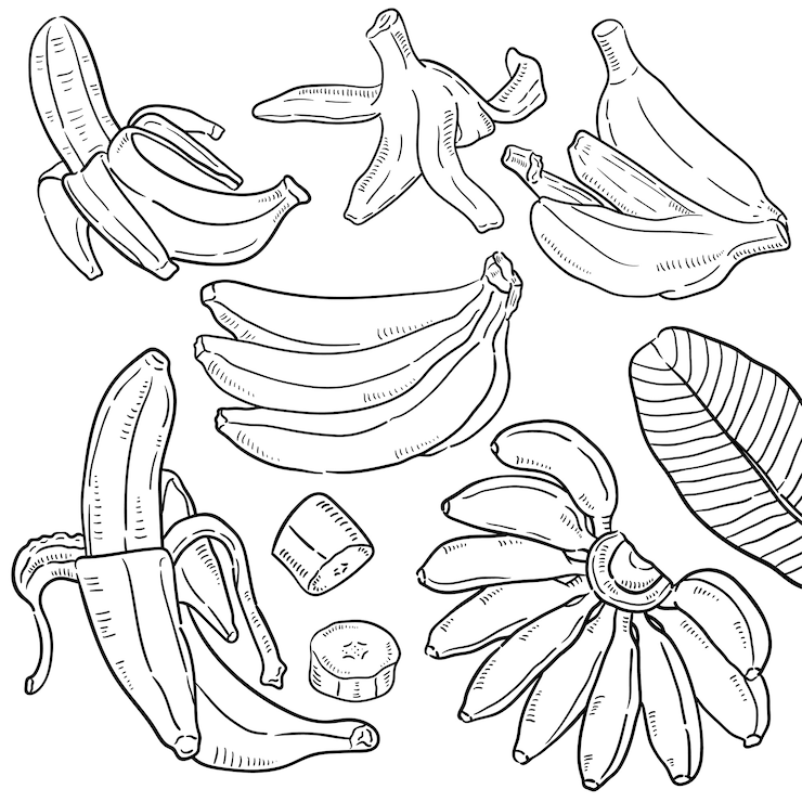 Vecteur illustration dessinée à la main de la banane.